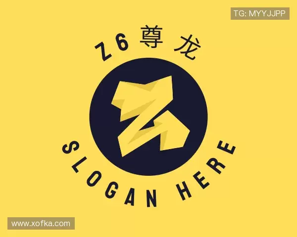 认识Z6·尊龙